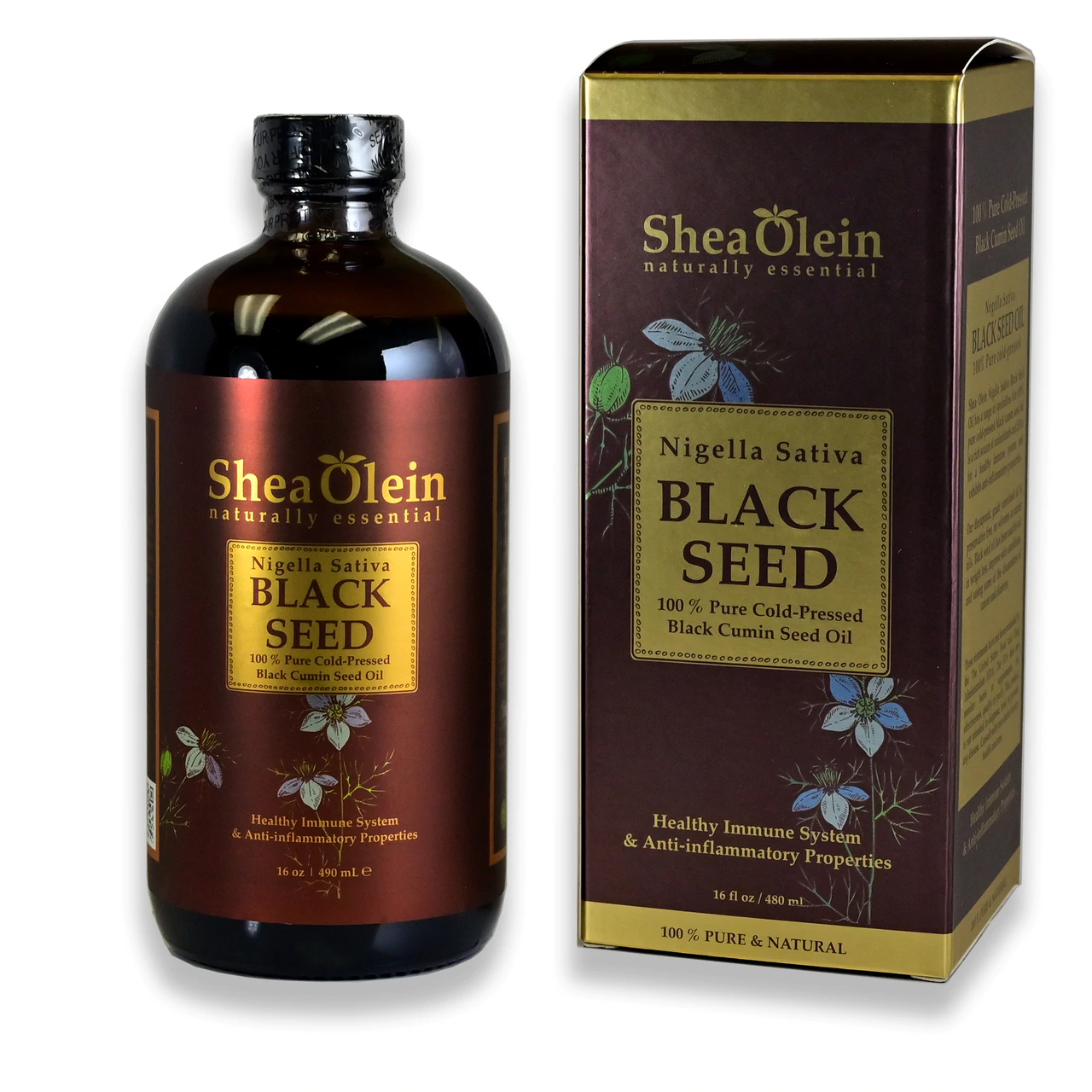 Black Seed Oil 16oz (Shea Olein)