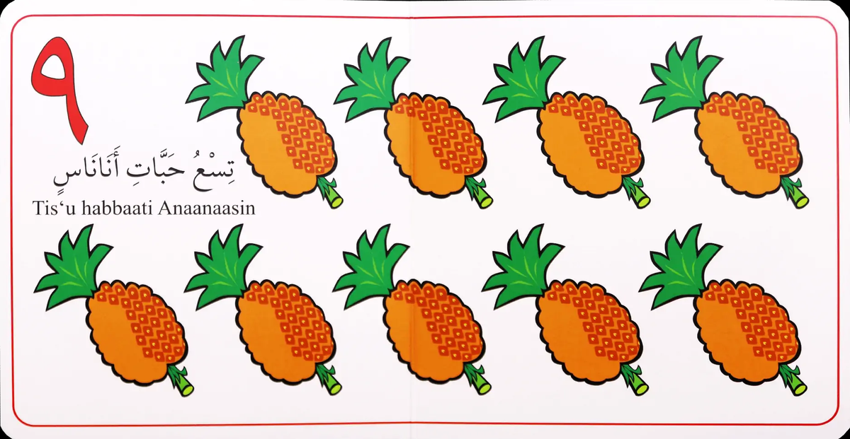 My Arabic Number Book